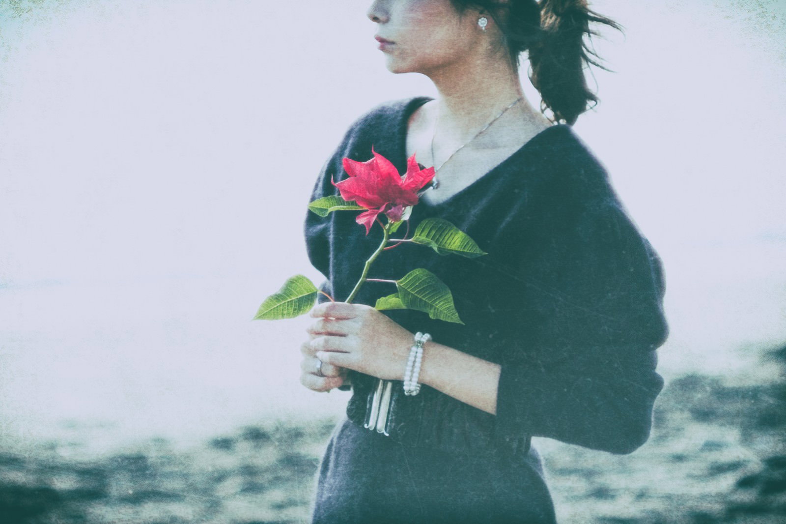 緑のセーターを着た女性が赤い薔薇を手に持っている