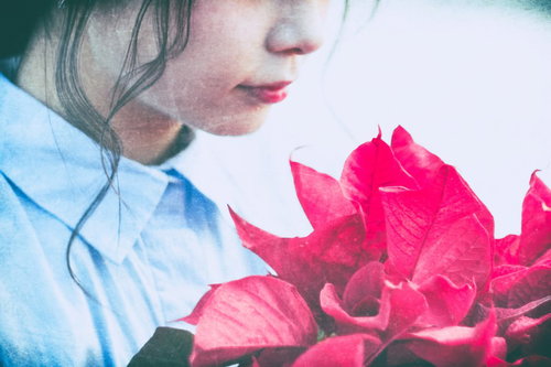 赤いポインセチアを見つめる虚ろな横顔の女性