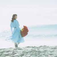 赤い花束を持ち波打ち際の砂浜を歩く女性の後ろ姿の写真