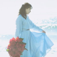 海辺で赤いポインセチアの花束を持つスカート姿の女性の写真