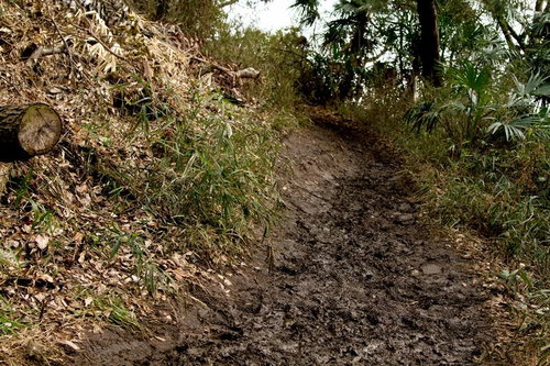 足跡が残るぬかるんだ雨上がりの山道