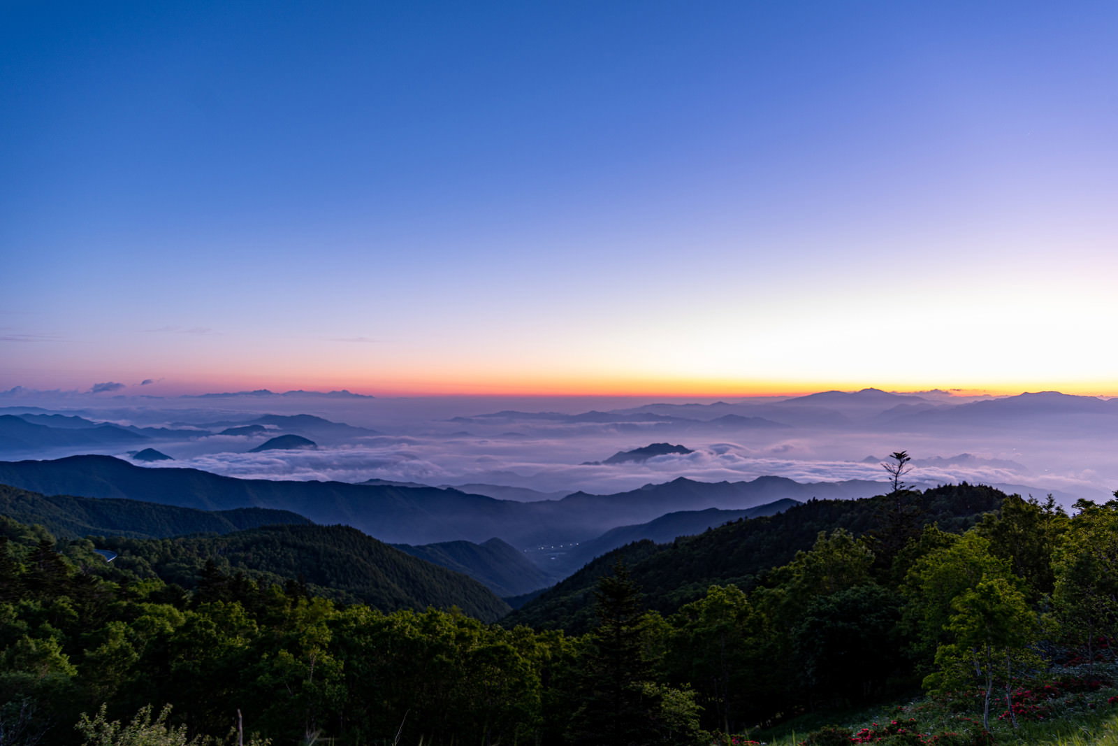 山の上に広がる雲海と朝焼けのグラデーション空