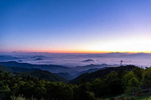 山々を覆う雲海と朝焼けの空 早朝の薄明時間帯