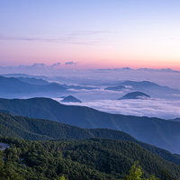 朝焼けに染まる空と雲海、山肌を覆うツツジの群生の写真