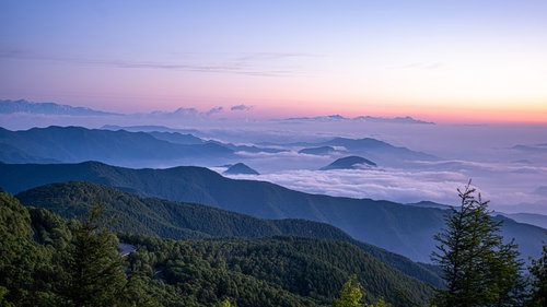 朝焼けに染まる空と雲海、山肌を覆うツツジの群生