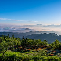 秋吉台国定公園・妙見原の道標とカルスト草原の写真
