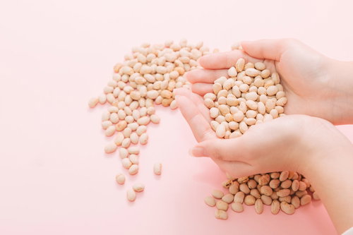 両手で豆をすくう節分の大豆。白い豆がピンク背景に散らばる季節行事の