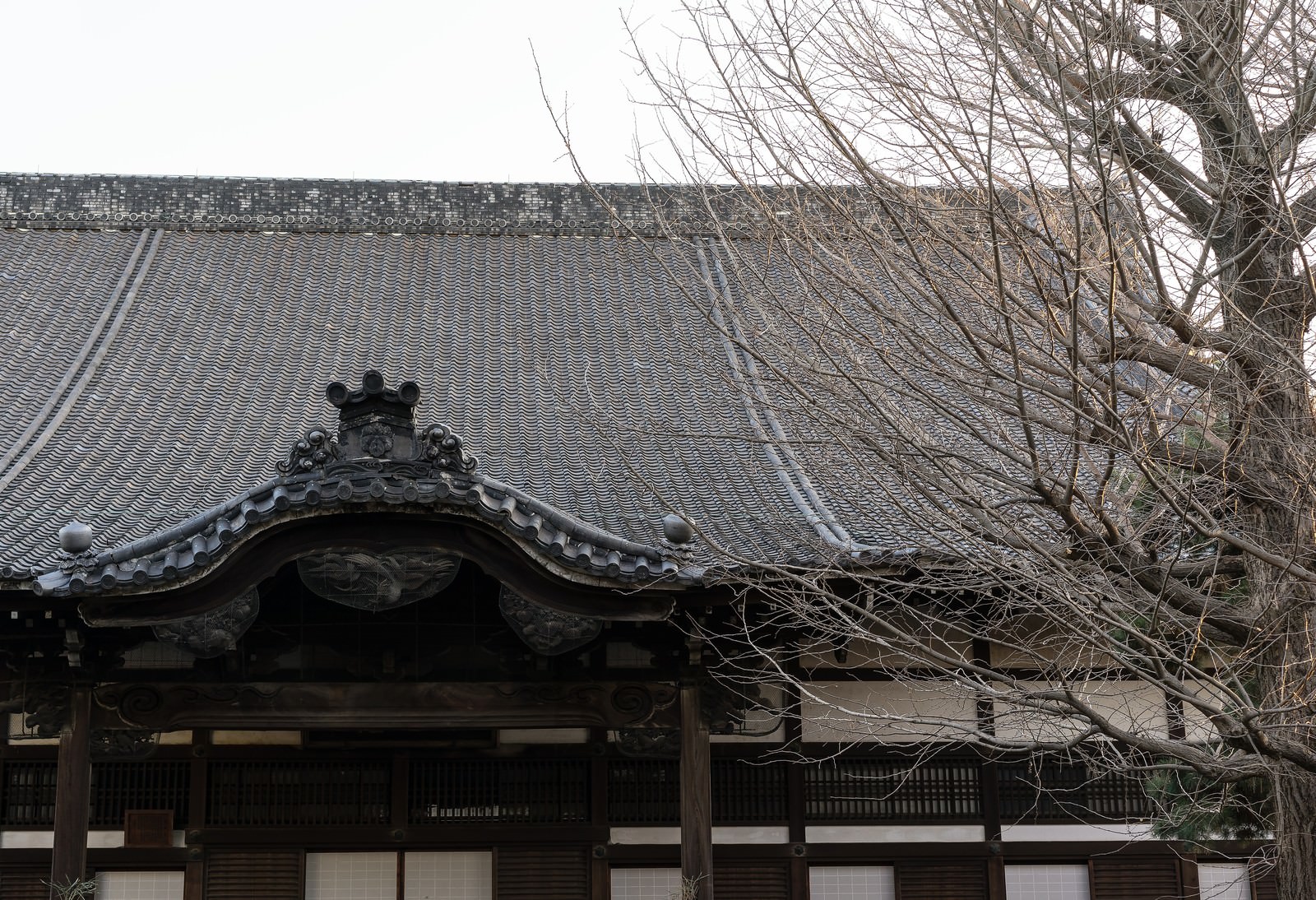 冬の古いお寺の瓦屋根と落葉した樹木が重なる景観