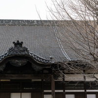 曇り空の下に置かれた冬のお寺の瓦屋根の写真