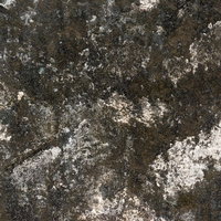 白や灰色の剥がれた塗装やカビが広がる風化したコンクリート壁のテクスチャーの写真