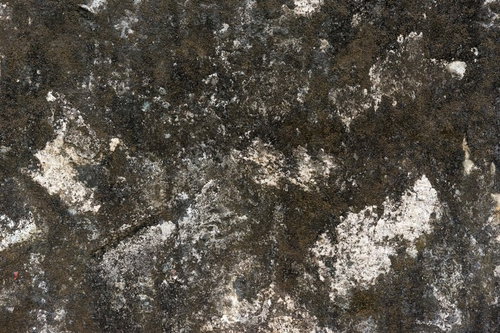 白や灰色の剥がれた塗装やカビが広がる風化したコンクリート壁のテクスチャー