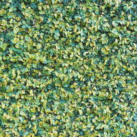 小さな葉が密集して壁を覆う緑の葉のテクスチャーの写真