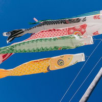 青空に泳ぐ色とりどりの鯉のぼり - こどもの日の春の風物詩の写真