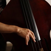 ウッドベースを指弾きするベーシストの手元の写真