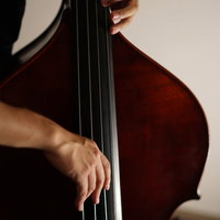 ウッドベースの弦を弾くベーシストの手元と指の動きの写真