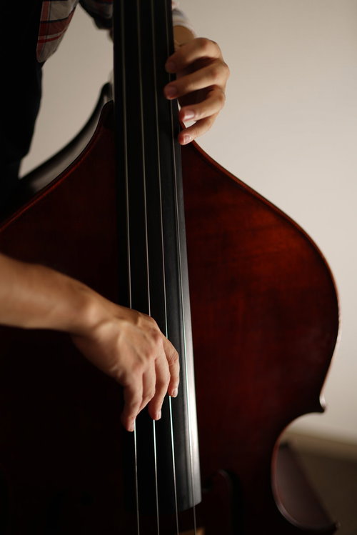 ウッドベースの弦を弾くベーシストの手元と指の動き