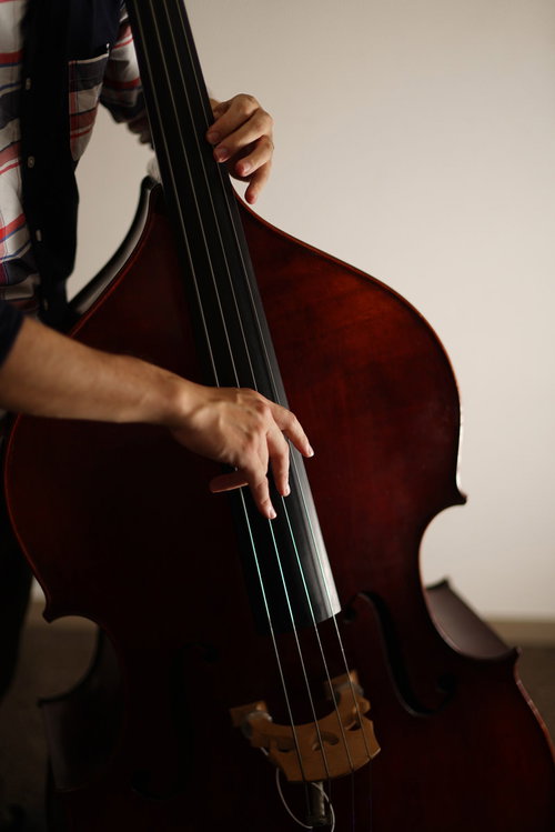 ウッドベースの弦を弾く手元、ミュージシャンの演奏風景