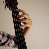 フレットレスのウッドベースを弾くベーシストの手元の写真