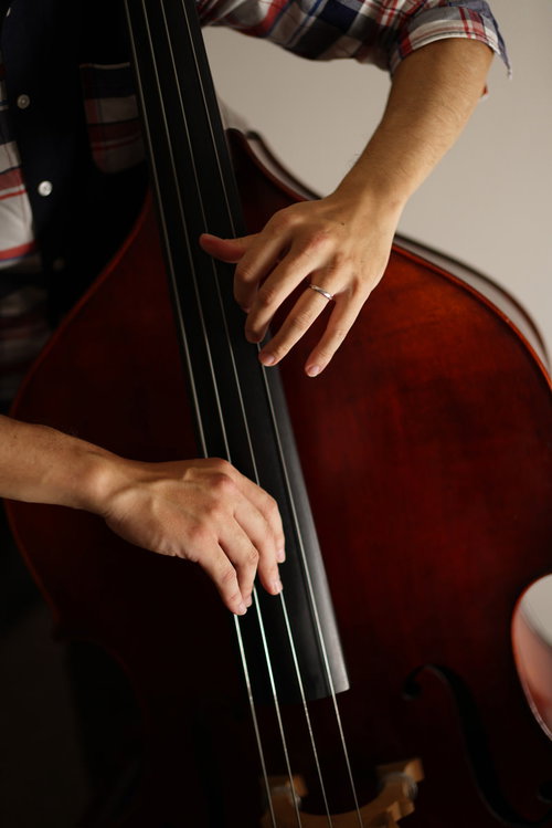 ウッドベースを弾くプロベーシストの両手の演奏動作