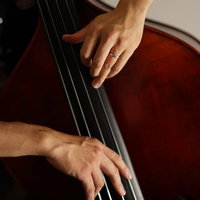 ウッドベースを演奏するベーシストの手元のクローズアップの写真