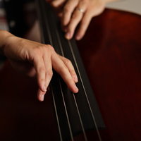 ウッドベースを弾く手元と弓の動き、弦を押さえる左手と弓を持つ右手の写真