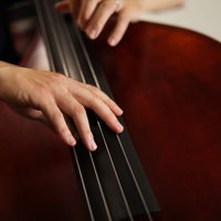 ウッドベースを弾くベーシストの手元をクローズアップの写真