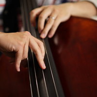 ウッドベースの弦を押さえて演奏する指の動きの写真