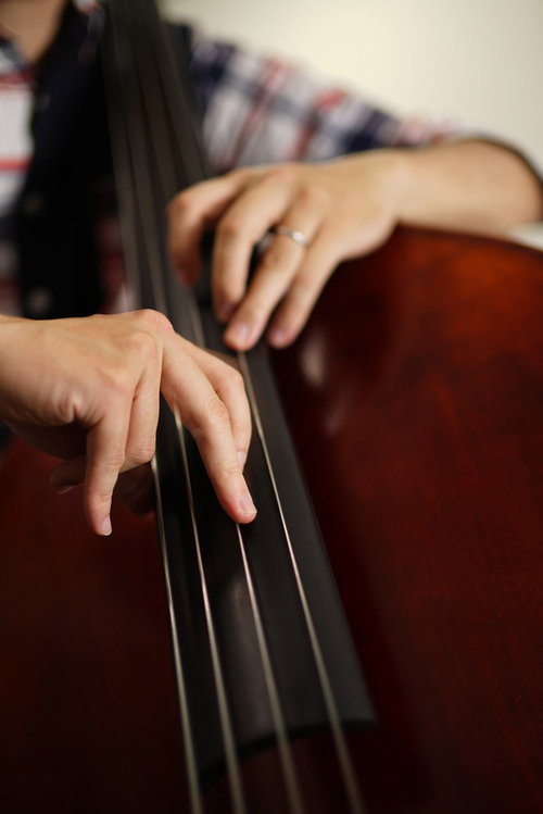 ウッドベースの弦を押さえて演奏する指の動き