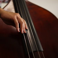 ウッドベースの弦を押さえるベーシストの手元の写真