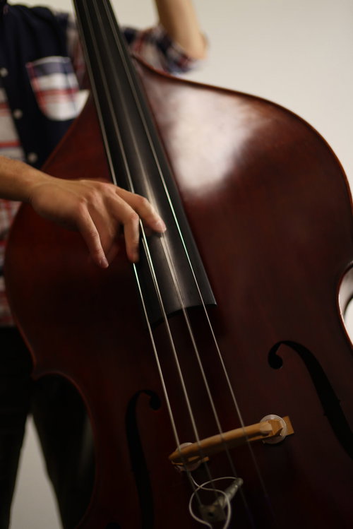 ウッドベースの弦を指で弾くベーシストの手元
