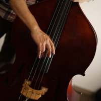 チェック柄のシャツを着たベーシストがウッドベースを奏でるの写真