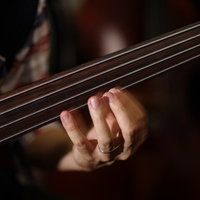 フレットレスベースを弾くベーシストの手元の写真