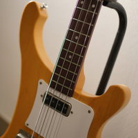 エレキベースのネック部分、弦とフレットが見えるの写真