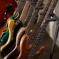 楽器店に並ぶ複数本のエレキベース、赤色と茶色の異なる色合いの写真
