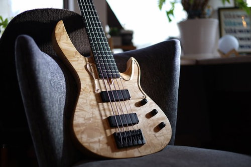 照らされる5弦ベース