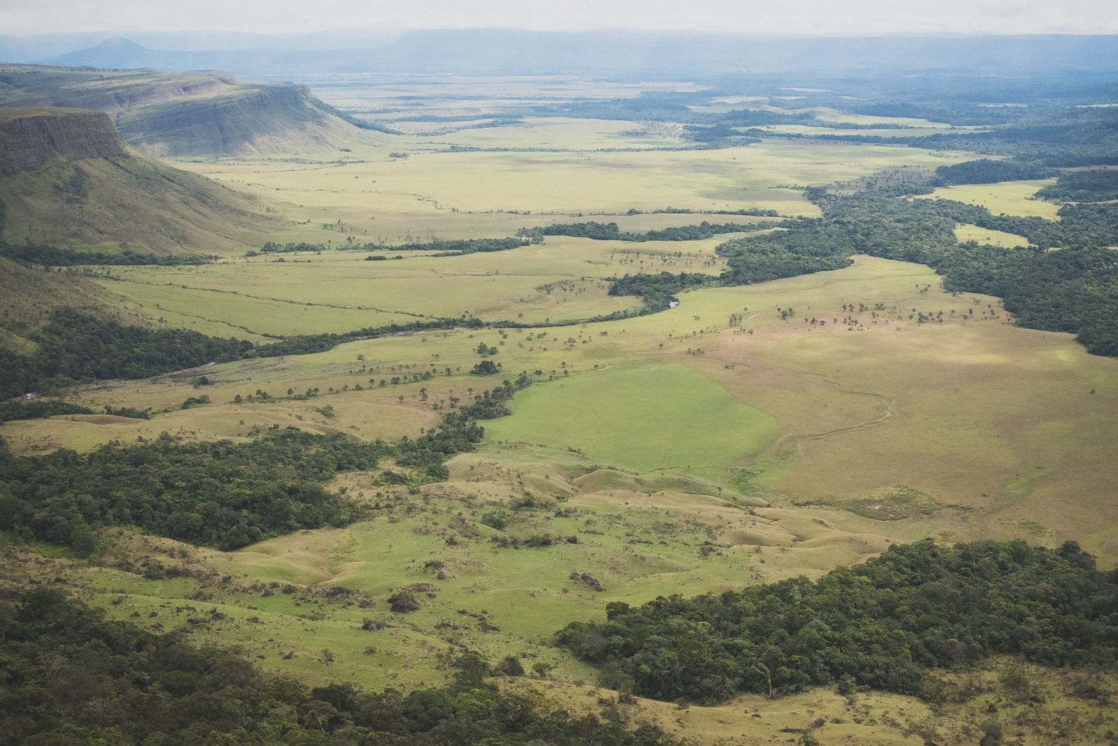 ギアナ高地のテーブルマウンテンと緑の草原が広がるパノラマ風景を上空から撮影