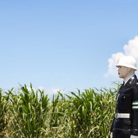 サトウキビ畑の前で横を向く宮古まもる君の人形の写真