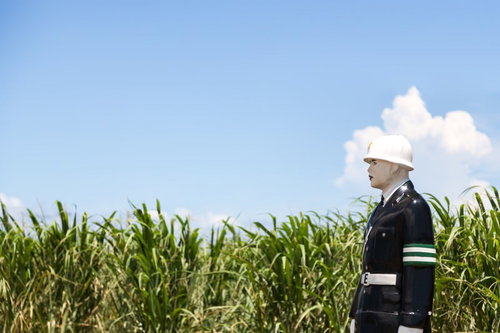サトウキビ畑の前で横を向く宮古まもる君の人形
