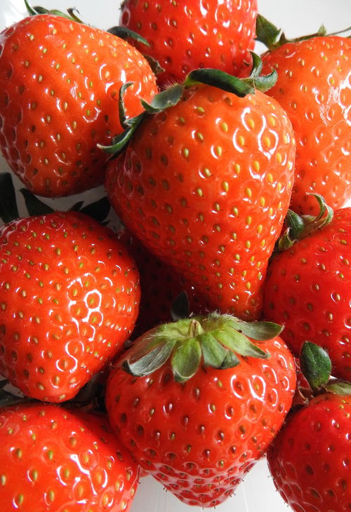 ぎゅっとした実の完熟イチゴ、新鮮で真っ赤に熟した果実