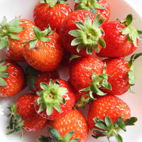 白い皿に盛られたへた付きの新鮮な苺の写真の写真