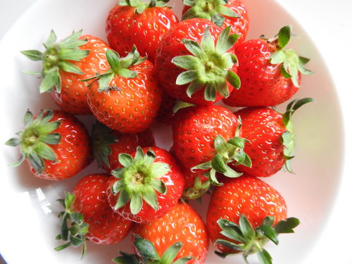 白い皿に盛られたへた付きの新鮮な苺の写真