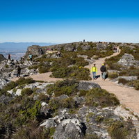 テーブルマウンテンの遊歩道を散策する観光客たち（南アフリカ）の写真