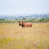 整骨院で肩の施術を受ける男性の写真