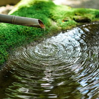 苔むした水溜りに落ちる雫からできる波紋と同心円の写真