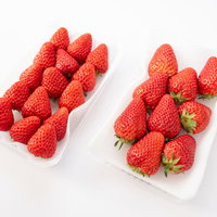 紅ほっぺの大玉と中玉を白い皿に盛り付けたいちごのサイズ比較の写真