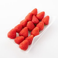 きれいに並べられた紅ほっぺ（苺）の中玉の写真