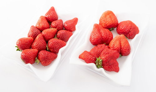 あまおう（苺）の大粒と小粒のサイズ比較、白い皿に盛られた状態