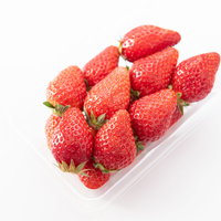 透明容器に詰まった完熟とちおとめいちご、栃木県産の新鮮な赤い苺の写真