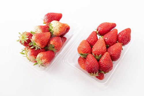 未熟と完熟の苺を比較したとちおとめの熟成段階