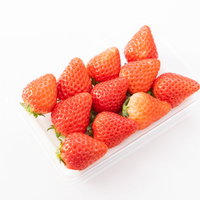 艶々のさがほのかいちご、透明パックに並んだ新鮮な赤い苺の写真